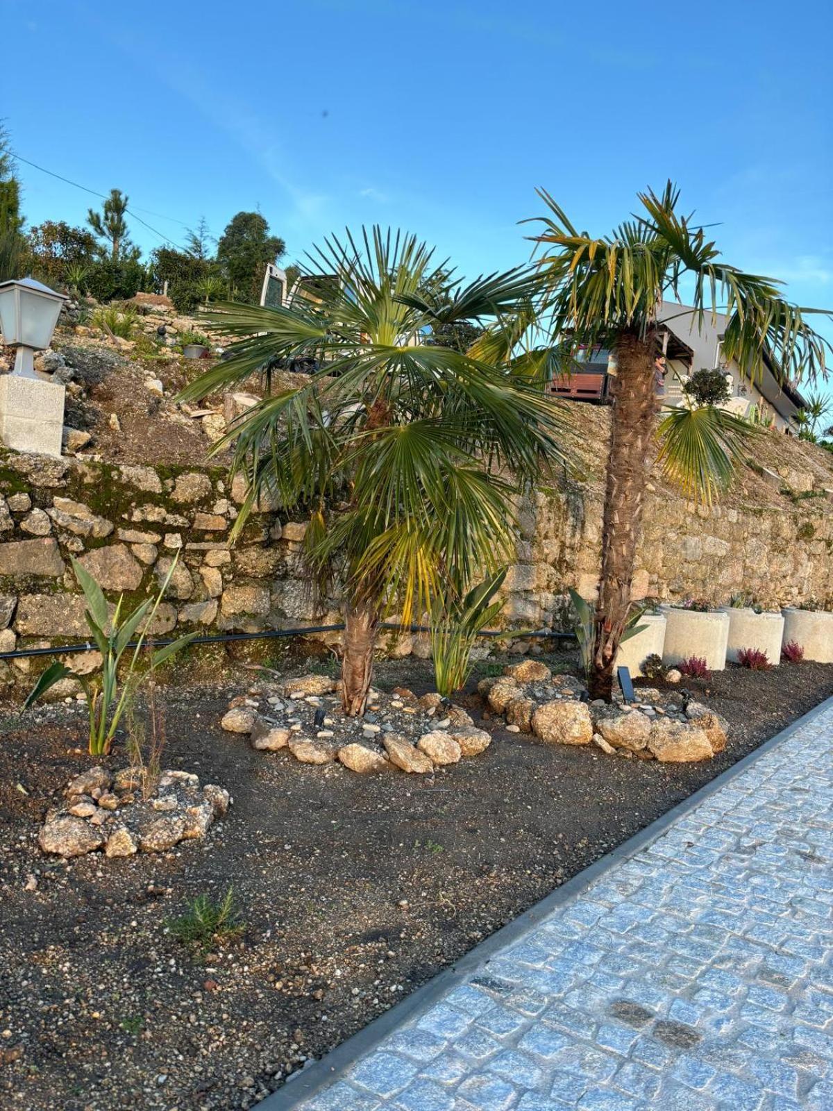 Quinta Santo Antonio Villa Gouveia  Ngoại thất bức ảnh