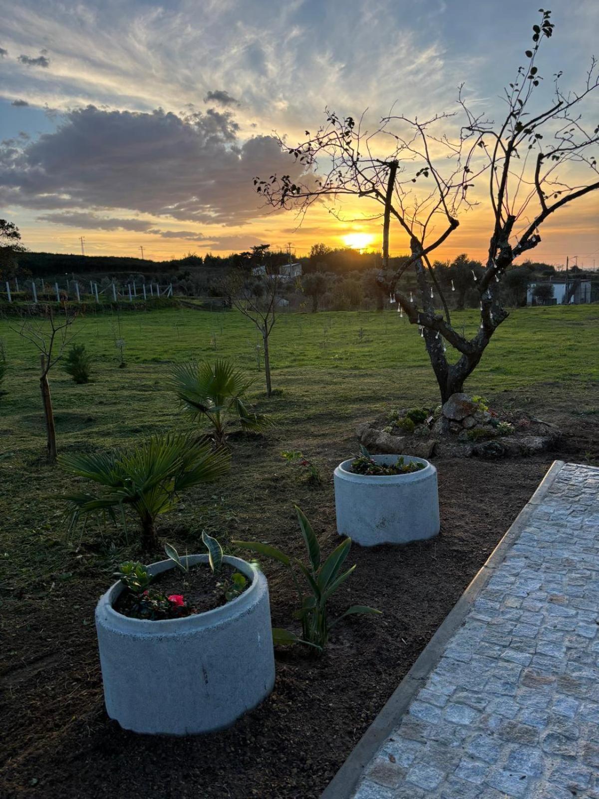 Quinta Santo Antonio Villa Gouveia  Ngoại thất bức ảnh