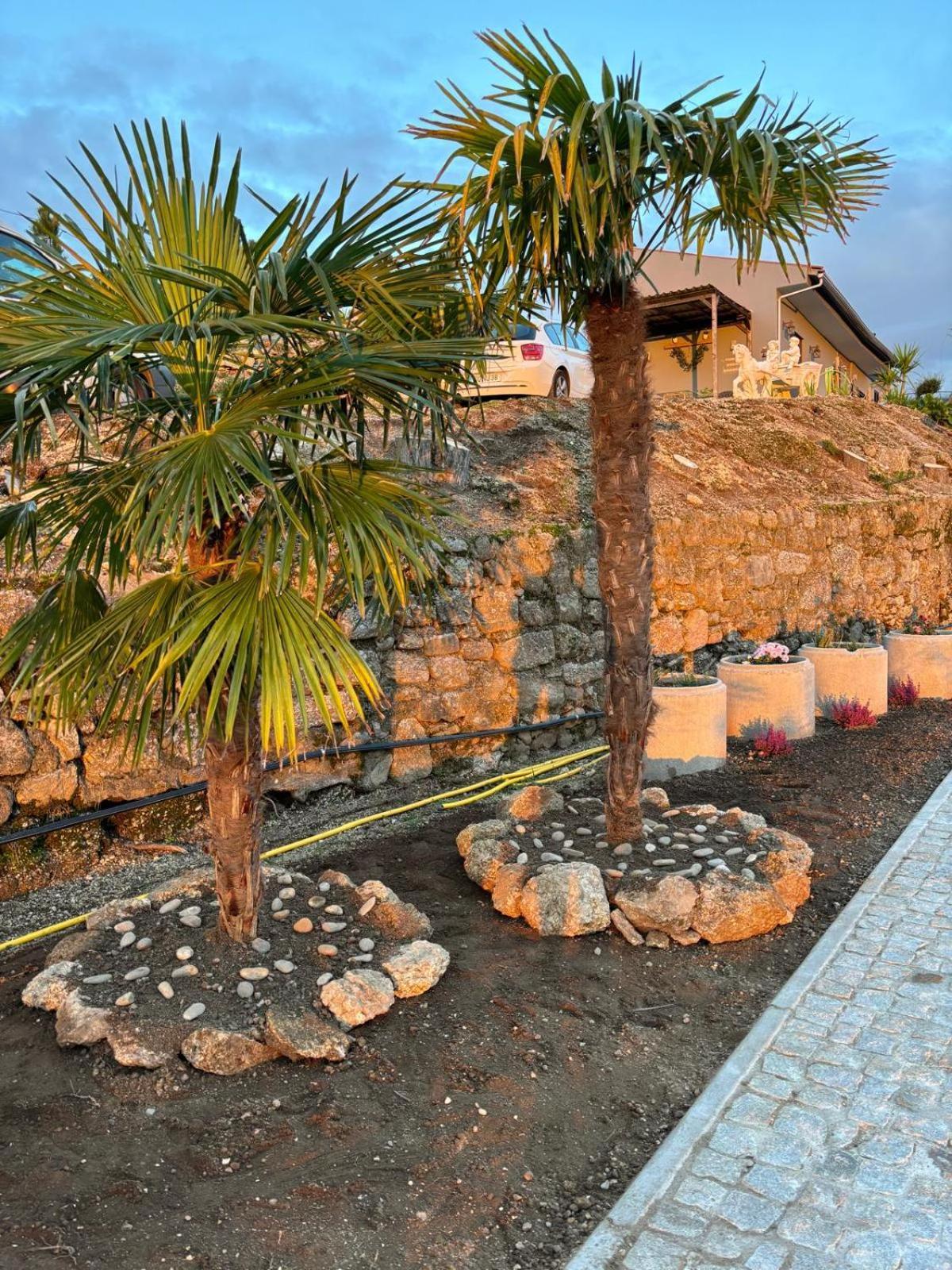 Quinta Santo Antonio Villa Gouveia  Ngoại thất bức ảnh