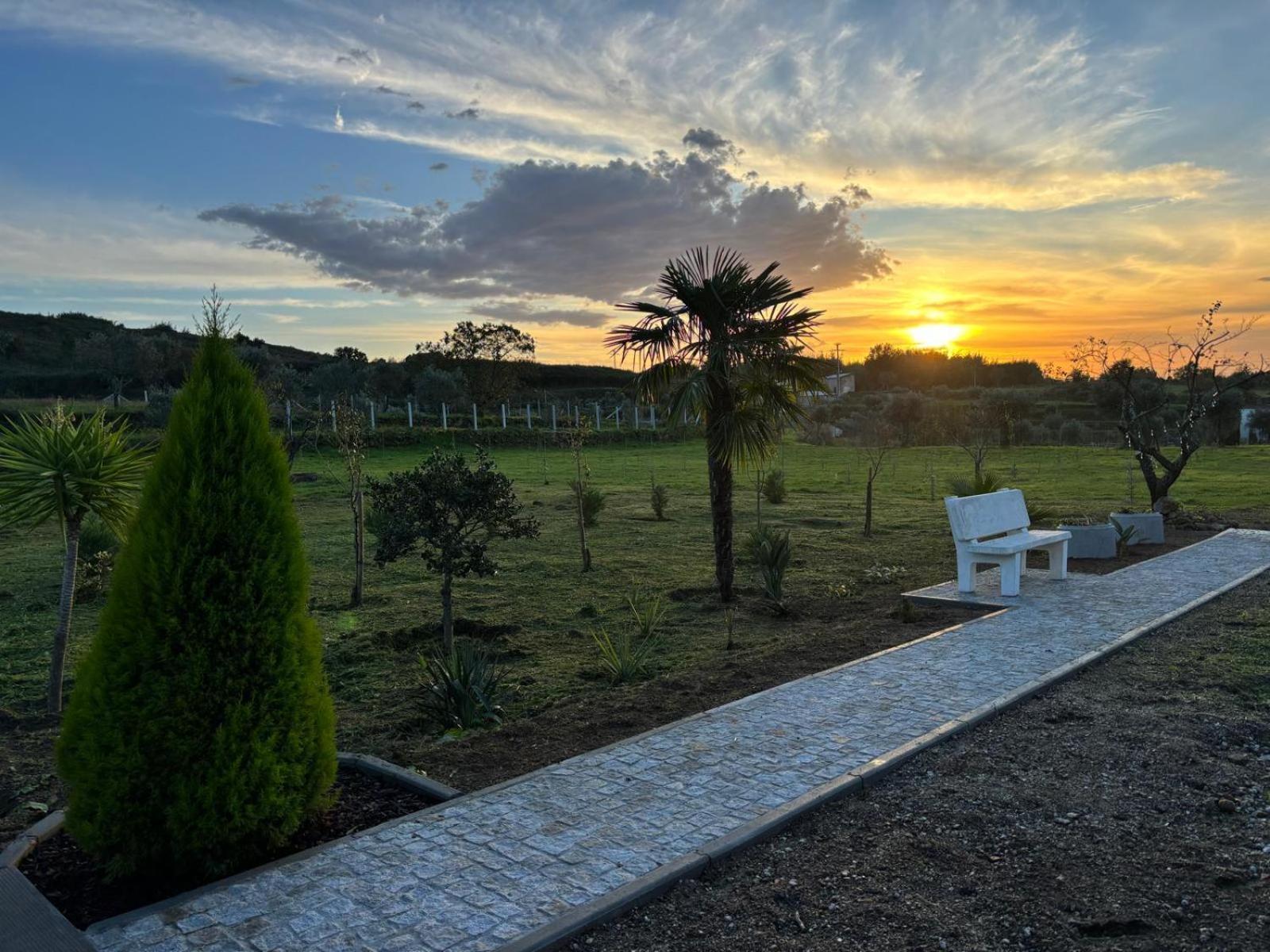 Quinta Santo Antonio Villa Gouveia  Ngoại thất bức ảnh